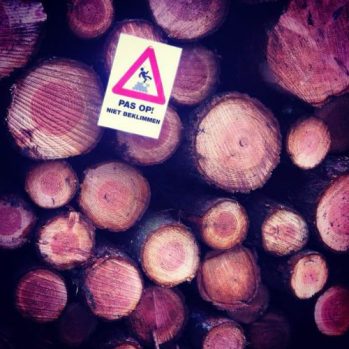 do not climb the tree sign on a stack of tree trunks